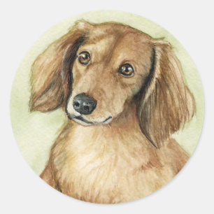 Adesivo Redondo "Dachshund de Cabelo Longo"