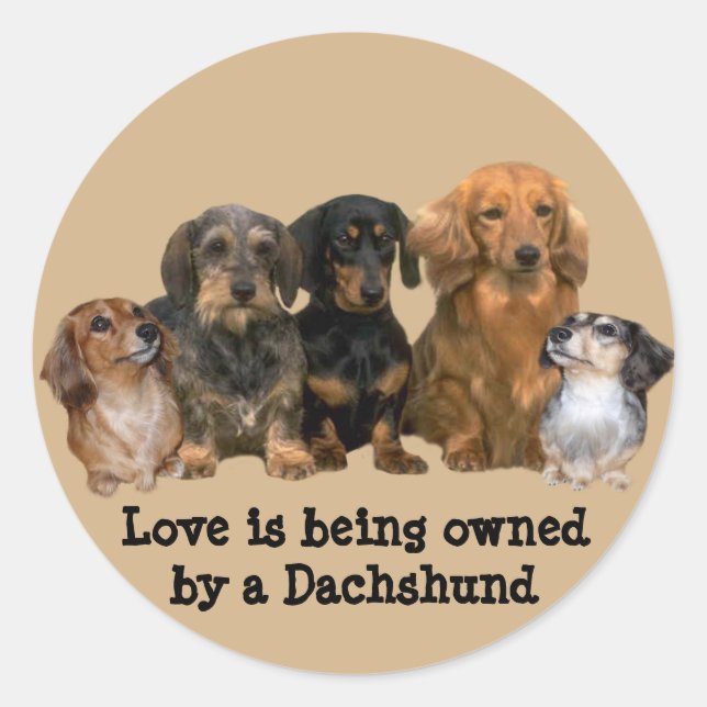 Adesivo Redondo Dachshund Gang Sticker (Frente)