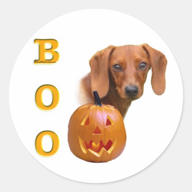 Adesivo Redondo Dachshund (liso) Boo (Frente)