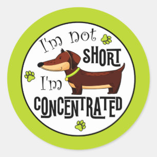 Adesivo Redondo Dachshund Não Sou Baixo, Estou Concentrado