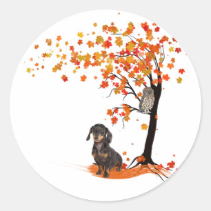Adesivo Redondo Dachshund Owl E Fall Tree Dachshund Lover Outono