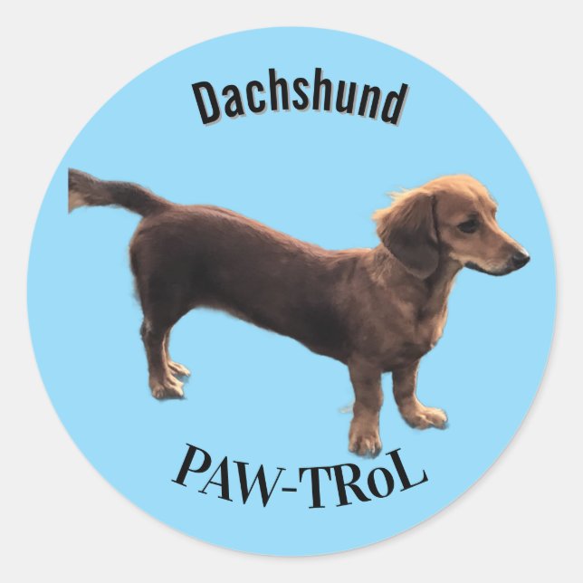 Adesivo Redondo Dachshund Paw-trol (Frente)