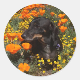 Adesivo Redondo Dachshund Puppy com flores silvestres