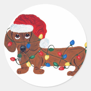 Adesivo Redondo Dachshund Tangled nas luzes de Natal (vermelhas)