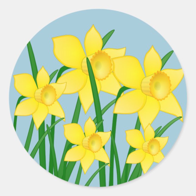 Adesivo Redondo Daffodils Stickers (Frente)