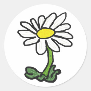 Adesivo Redondo Daisy