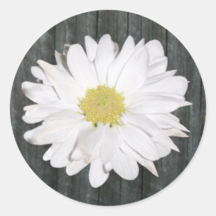 Adesivo Redondo Daisy & Barnwood Sticker