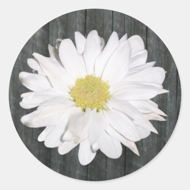 Adesivo Redondo Daisy & Barnwood Sticker (Frente)
