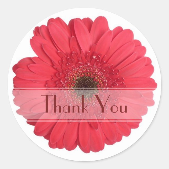 Adesivo Redondo Daisy Custom Floral Sticker (Frente)