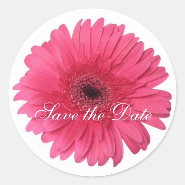 Adesivo Redondo Daisy Custom Floral Sticker (Frente)