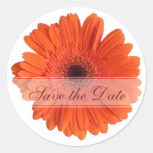 Adesivo Redondo Daisy Custom Floral Sticker