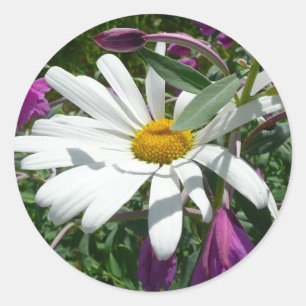 Adesivo Redondo Daisy e Fireweed