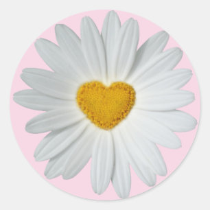 Adesivo Redondo Daisy Heart