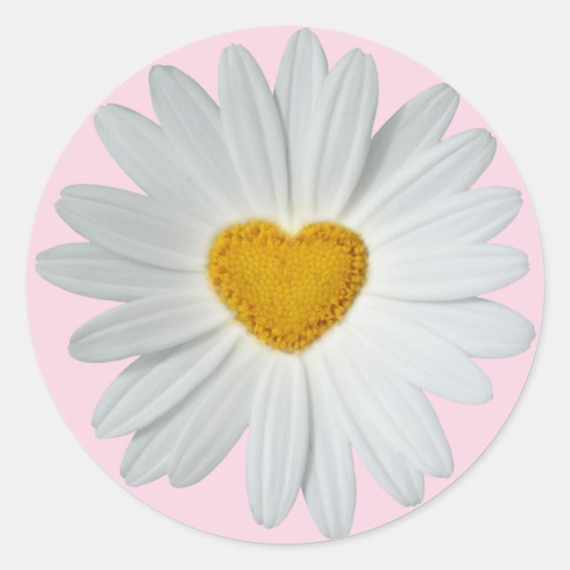 Adesivo Redondo Daisy Heart (Frente)