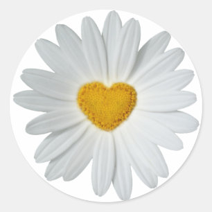 Adesivo Redondo Daisy Heart