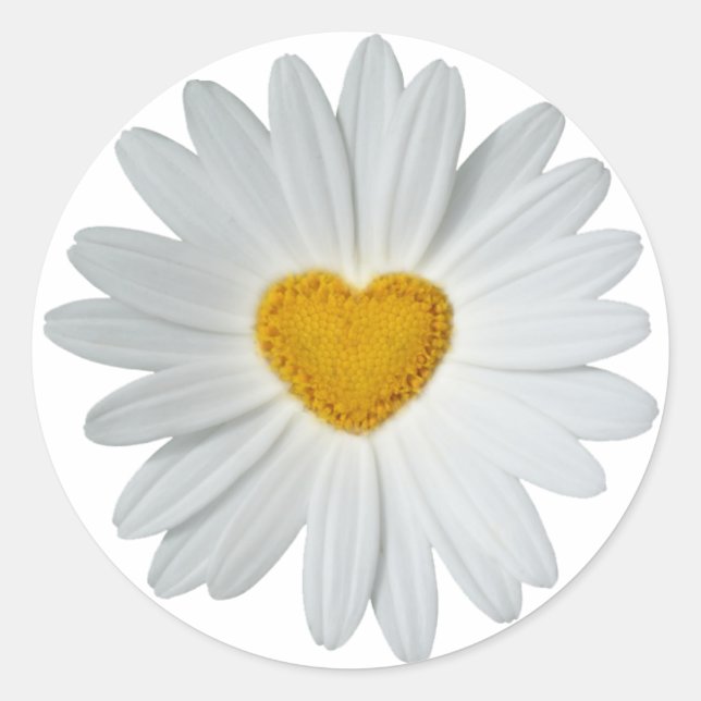 Adesivo Redondo Daisy Heart (Frente)