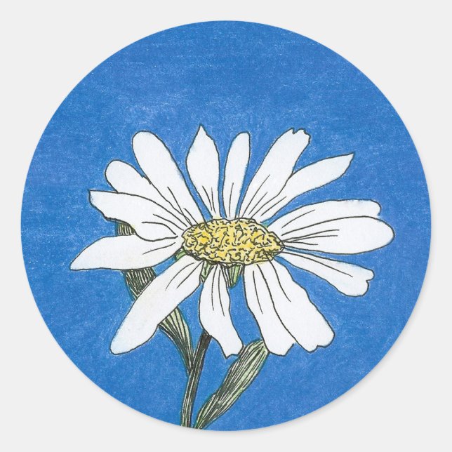 Adesivo Redondo Daisy Sticker (Frente)