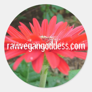 Adesivo Redondo Daisy Sticker