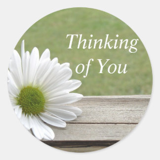 Adesivo Redondo Daisy Theme