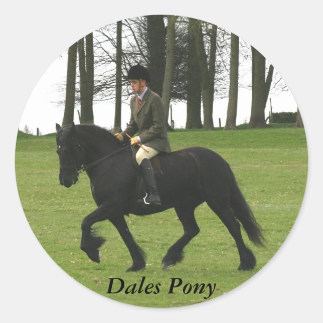 Adesivo Redondo Dales Pony Sticker (Frente)