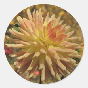 Adesivo Redondo Dália do cacto