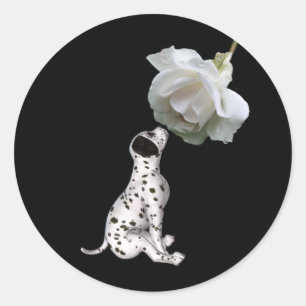 Adesivo Redondo Dalmaciana Puppy E White Rose Sticker