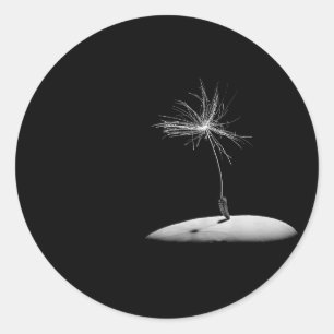 Adesivo Redondo Dandelion Seed Head