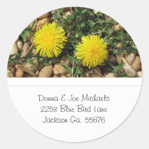 Adesivo Redondo Dandelions Address Stickers