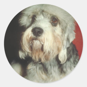 Adesivo Redondo Dandie Dinmont Terrier