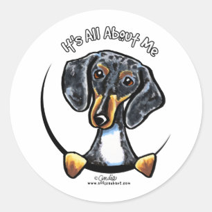 Adesivo Redondo Dapple o Dachshund seu toda aproximadamente mim