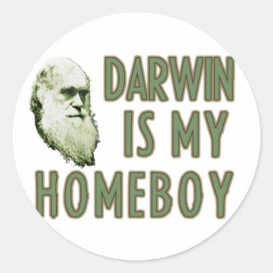 Adesivo Redondo Darwin é meu ficar em casa