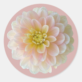 Adesivo Redondo Day Dreamer Waterlily Dahlia