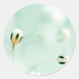 Adesivo Redondo de Impressão de Flor Bonita