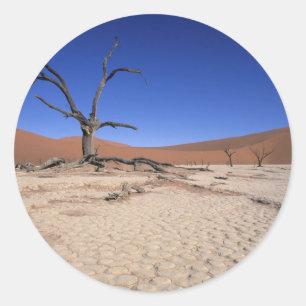 Adesivo Redondo Dead Vlei, Sossusvlei, Parque Nacional Namib-Naukl