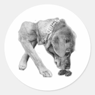 Adesivo Redondo Decal de Curiosidade Preta-e-Branca