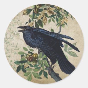 Adesivo Redondo Decoupage de Corvo Vitoriano Antigo - Reino Gótico