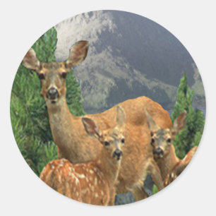 Adesivo Redondo Deer art