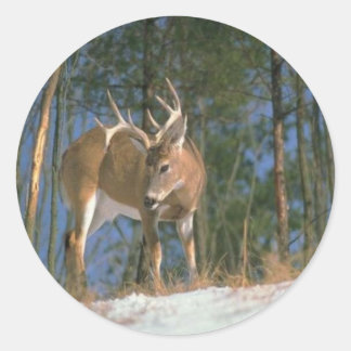 Adesivo Redondo Deer Buck