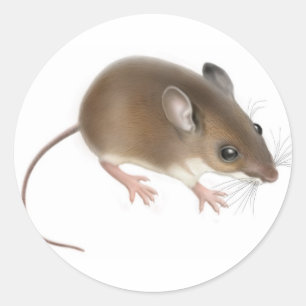 Adesivo Redondo Deer Mouse Sticker