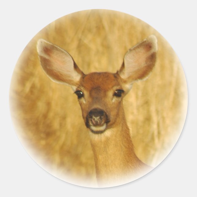 Adesivo Redondo Deer Stickers (Frente)