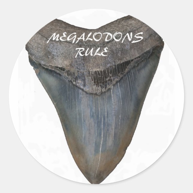 Adesivo Redondo Dente de tubarão Megalodon (Frente)