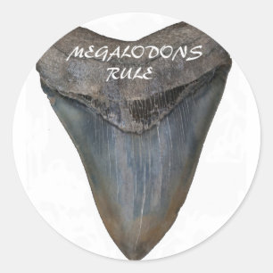 Adesivo Redondo Dente de tubarão Megalodon