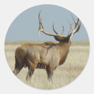 Adesivo Redondo Desafiador dos alces de E20 Bull