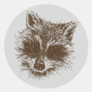 Adesivo Redondo Desenho Da Criatura Do Pavial Raccoon