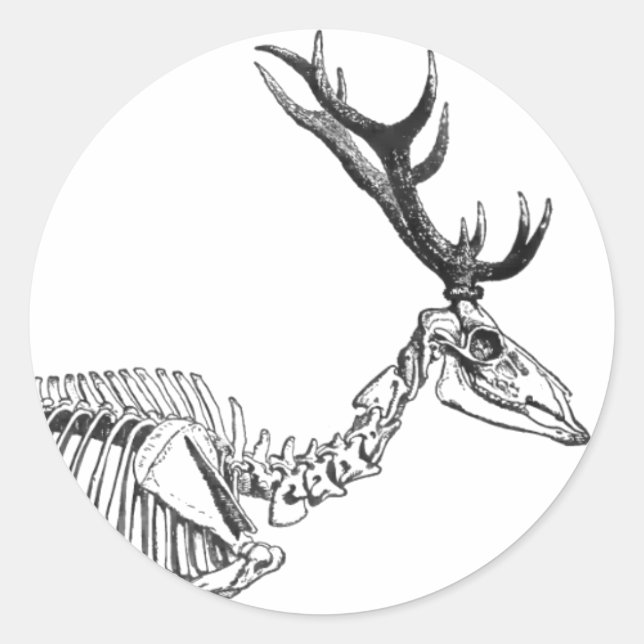 Adesivo Redondo Desenho de rena de esqueleto de safra (Frente)