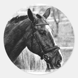 Adesivo Redondo Desenho do Cavalo Branco Negro