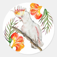 Desenho em aquarela de um papagaio-católico