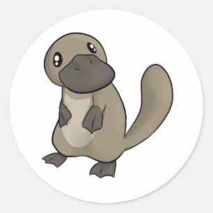 Adesivo Redondo Desenhos animados cinzentos/cinzentos Platypus