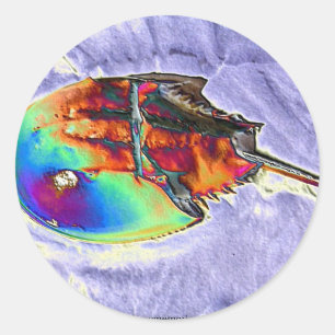 Adesivo Redondo Design da folha do caranguejo em ferradura