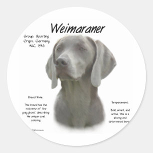 Adesivo Redondo Design da história de Weimaraner